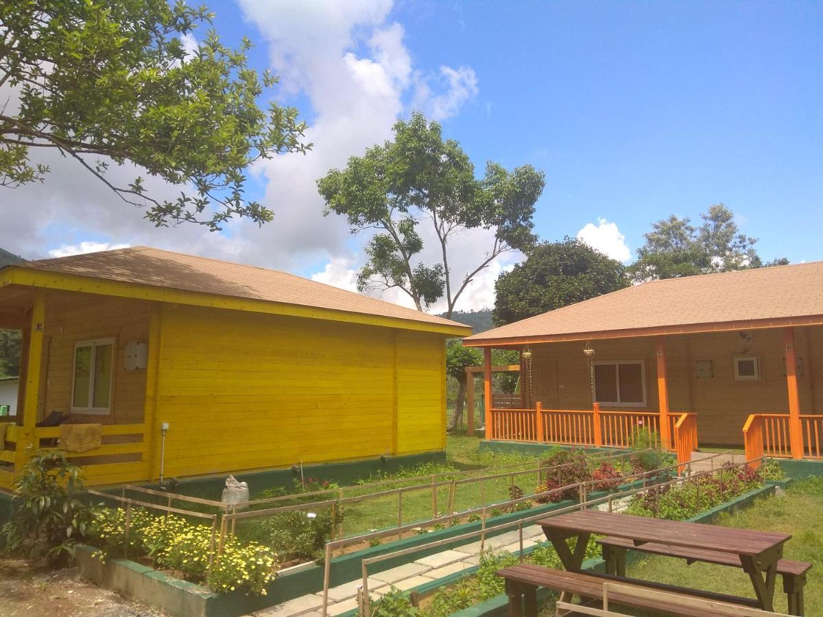 קוטאגירי The Laughing Woods Ac Resort מראה חיצוני תמונה